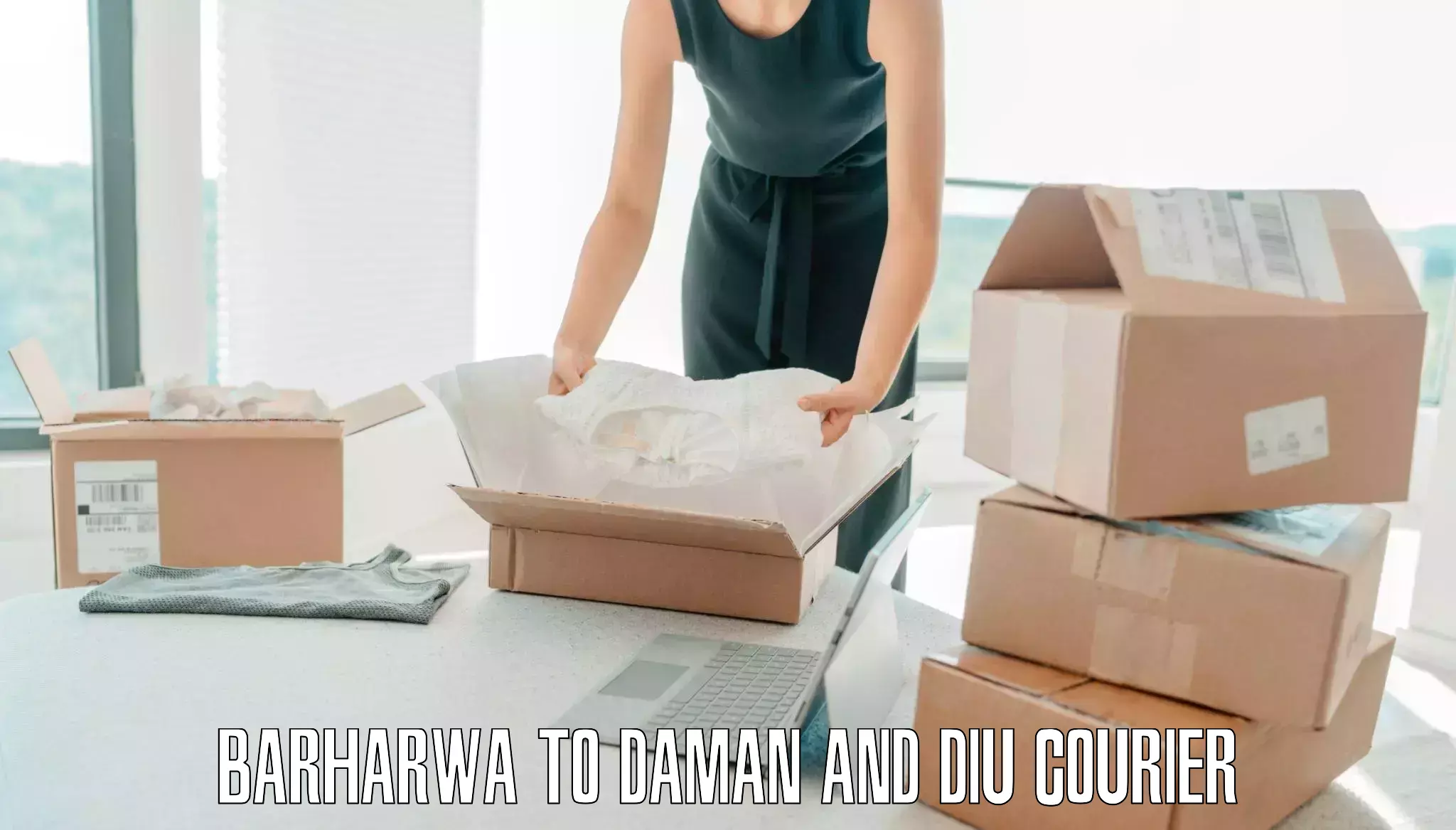 Luggage courier services in Barharwa to Daman and Diu