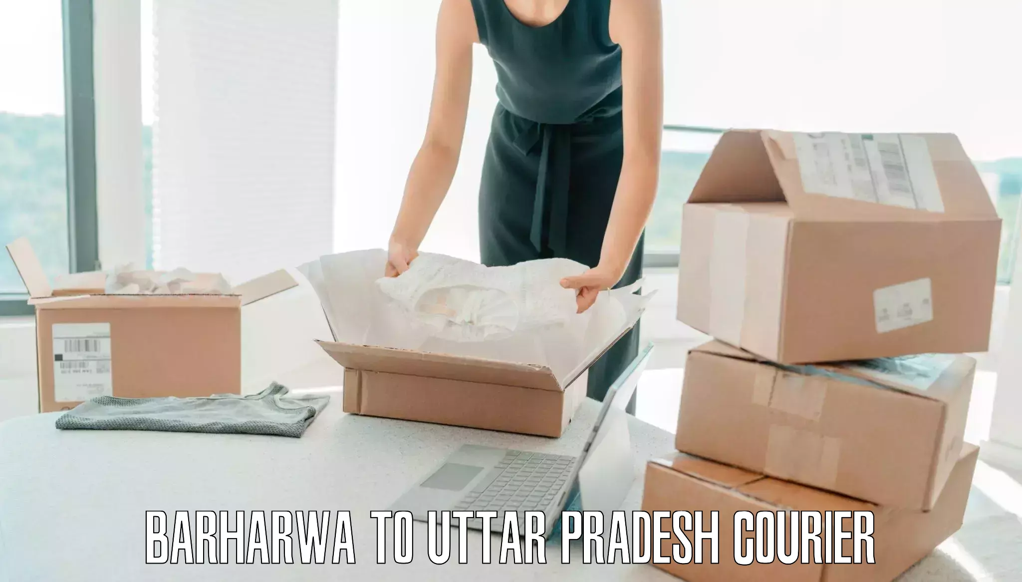 Baggage shipping advice Barharwa to Ganj Dundwara