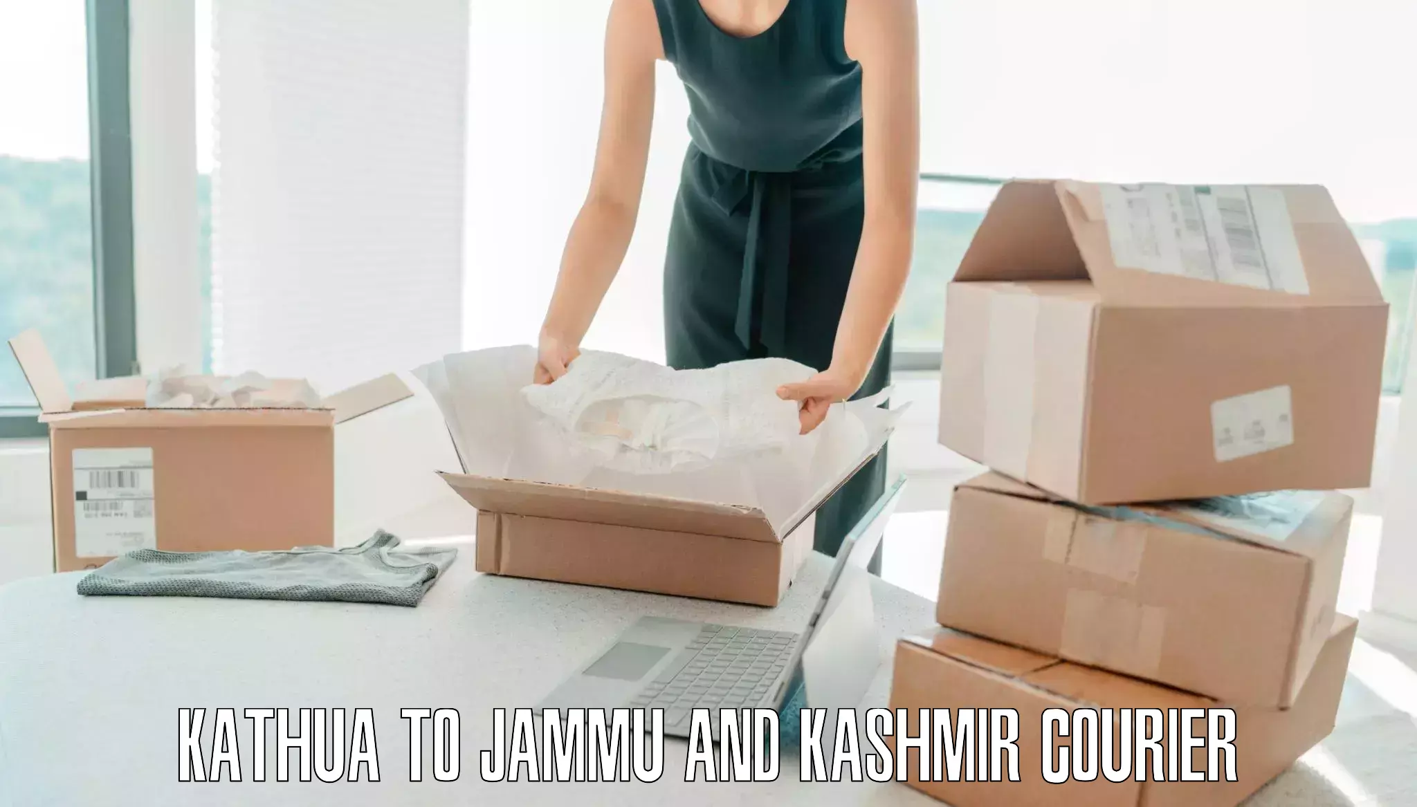 Luggage shipment strategy Kathua to Kulgam
