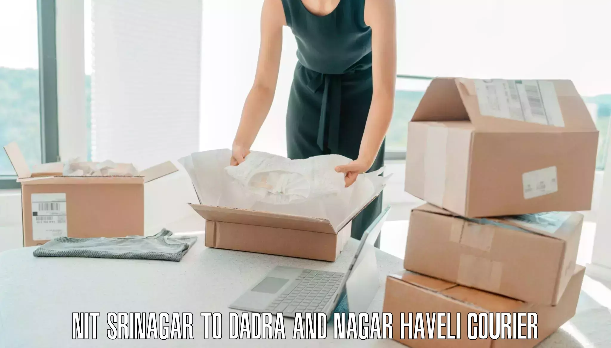 Luggage shipping efficiency NIT Srinagar to Dadra and Nagar Haveli