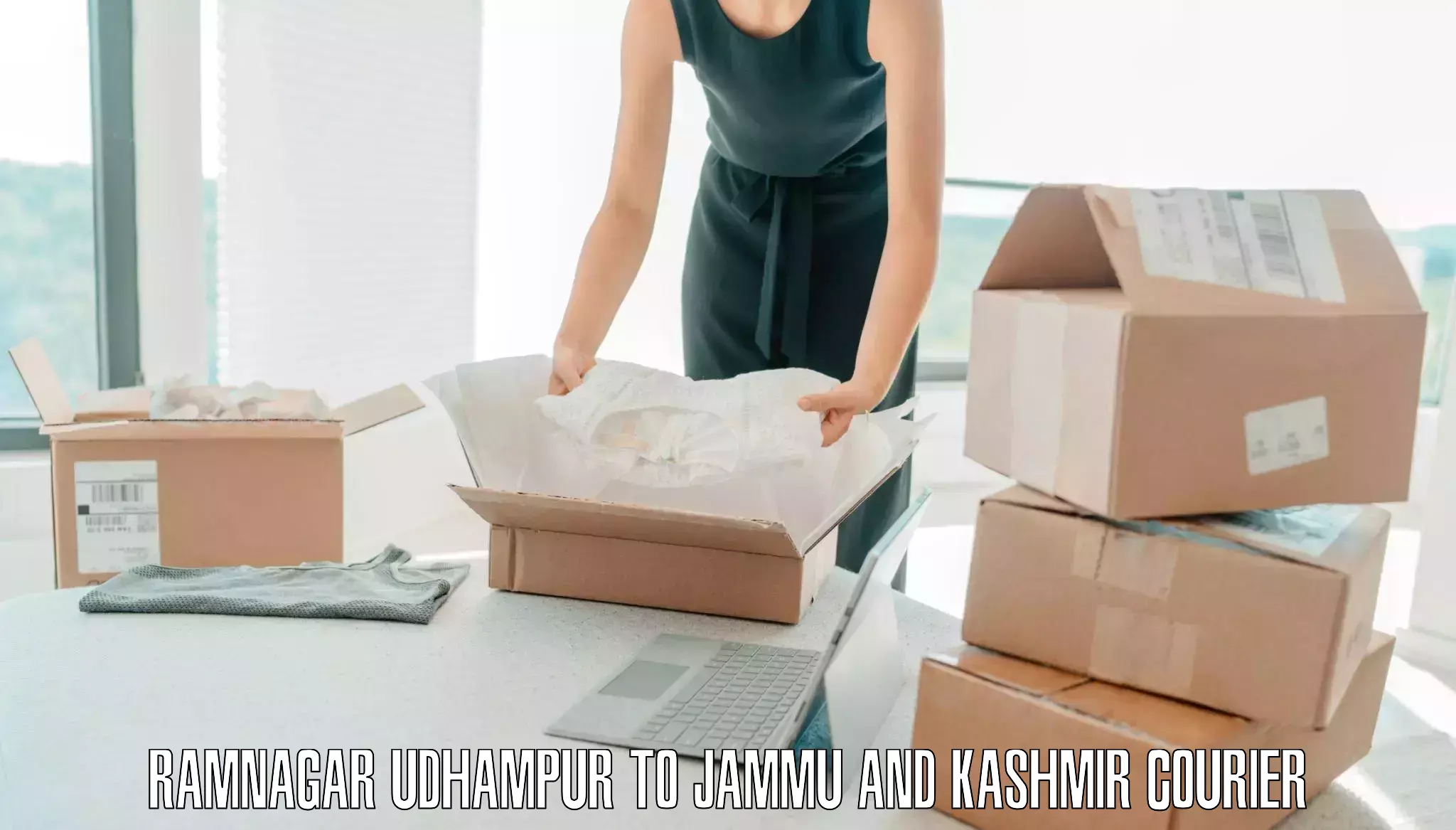 Baggage courier pricing Ramnagar Udhampur to Kulgam