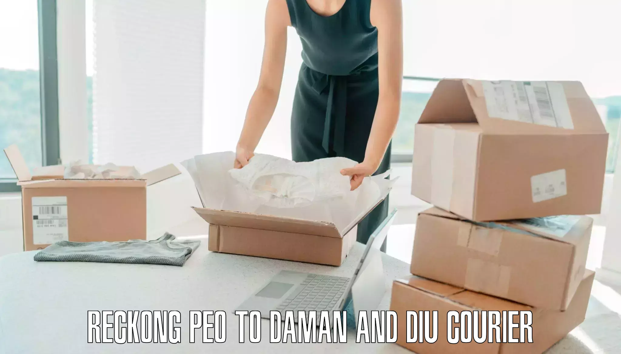 Luggage shipment tracking Reckong Peo to Diu