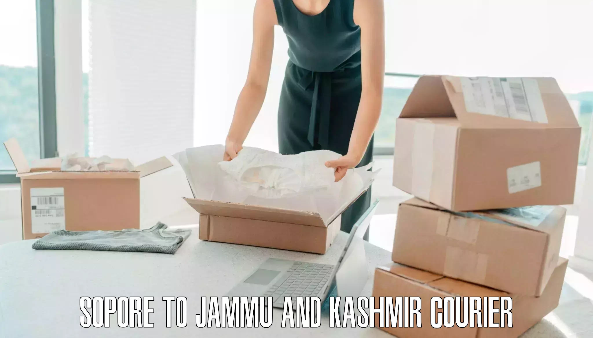 Luggage shipping solutions Sopore to University of Jammu