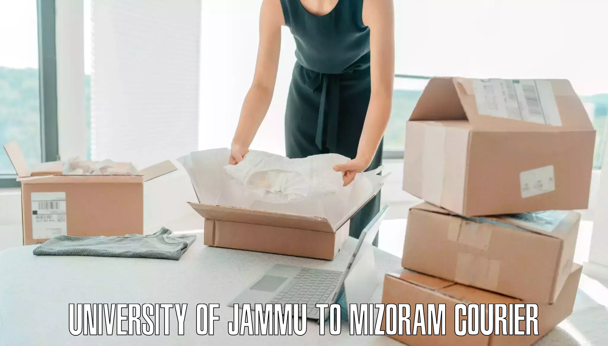 Baggage relocation service in University of Jammu to Thenzawl