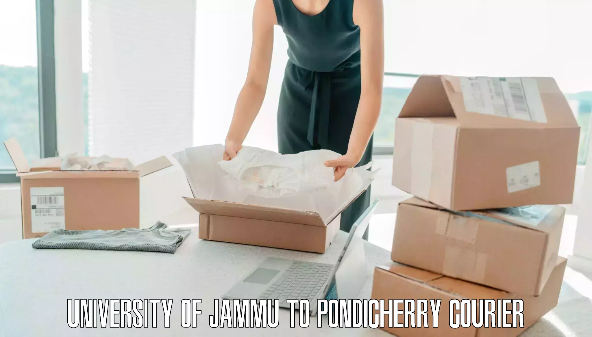 Luggage delivery logistics in University of Jammu to Pondicherry