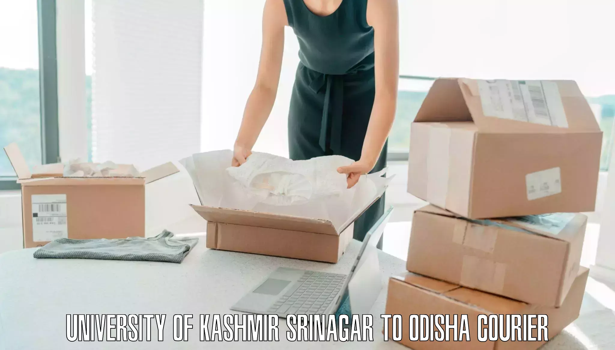 Luggage shipping solutions University of Kashmir Srinagar to Sundergarh