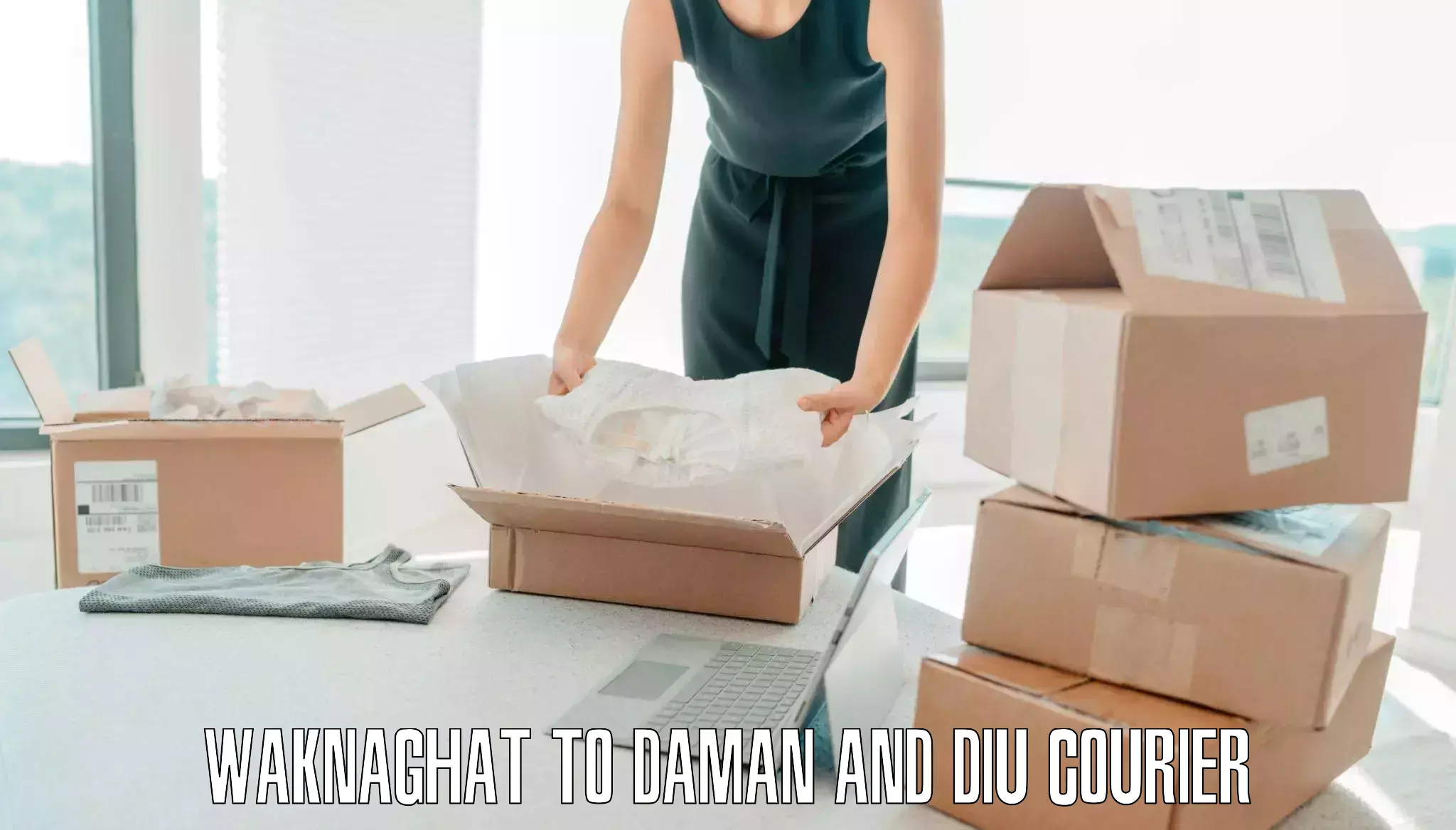 Overnight luggage courier Waknaghat to Daman