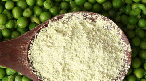 1.[ExampleBrand]PeaProteinPowder