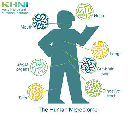 BeyondDigestion:TheMicrobiome'sImpactonImmunity