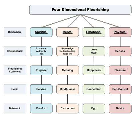 BeyondthePhysical:EmotionalandSpiritualDimensions