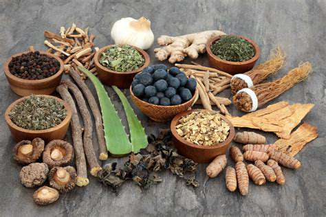HerbalRemedies:NaturalSupportforChildren'sHealth
