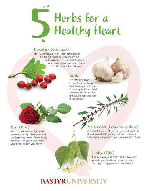 HerbalRemediesandTheirRoleinCardiovascularSupport