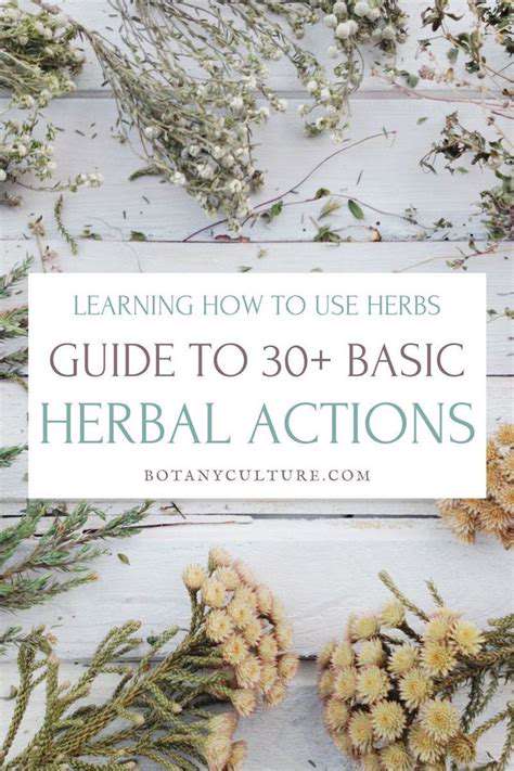 KeyConceptsinChoosingHerbalRemedies