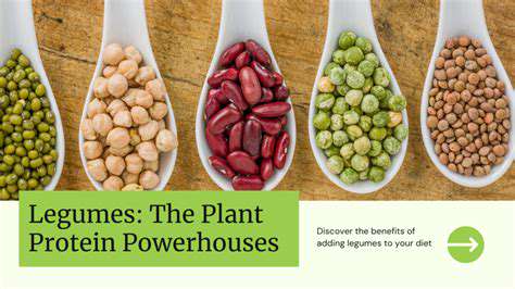 Legumes:TheProteinPowerhousesofthePlantKingdom