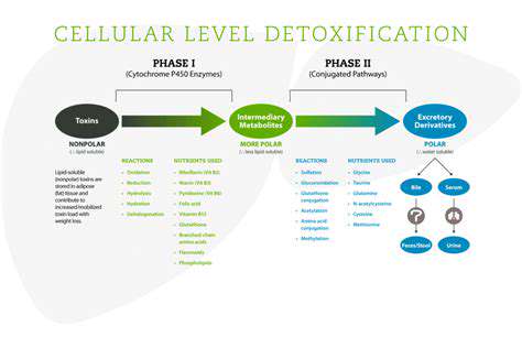 LifestylePracticesforaHealthyDetoxificationProcess
