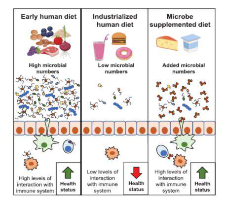 MaintainingaThrivingGutMicrobiome:BeyondDiet