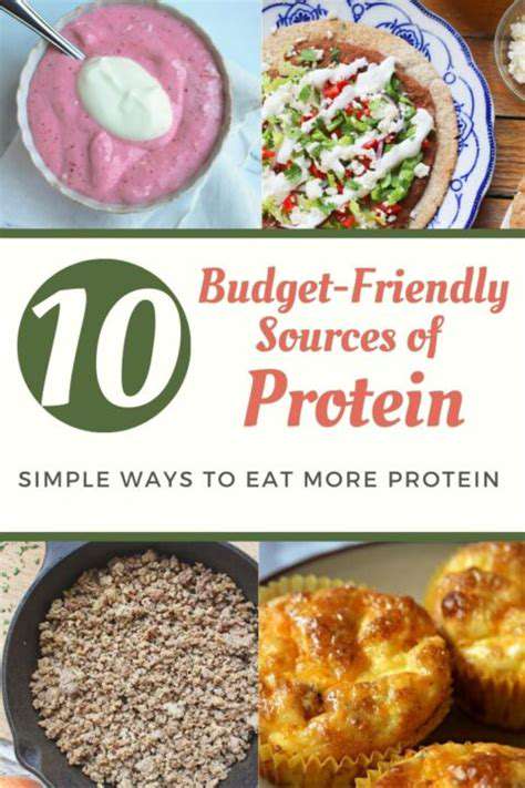 MasteringtheArtofBudget-FriendlyProteinSources