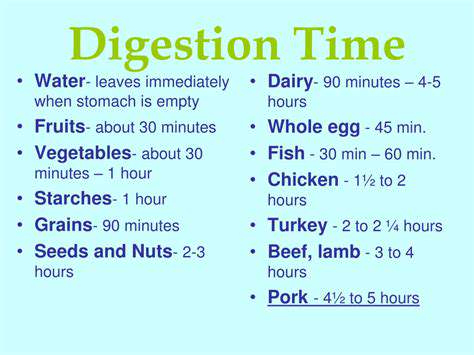 NourishingYourBody:MealtimesandDigestion