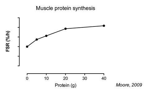 OptimizingYourProteinIntakeforMuscleSynthesis