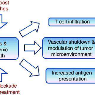 PotentialBenefitsofCombiningIFandAutophagy