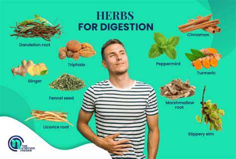 PreparingandUsingAyurvedicHerbsforDigestion