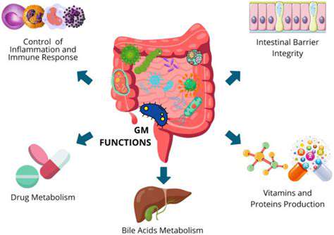 SupportingImmuneFunctionThroughGutHealth