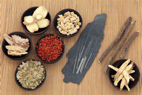 TheDevelopmentofAcupunctureandHerbalRemedies