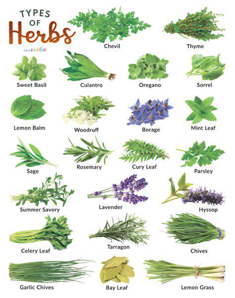 TheDiverseWorldofTCMHerbs
