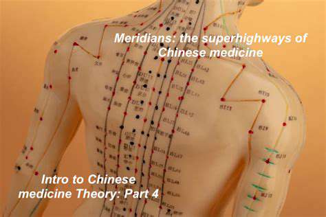 TheFoundationofTCMEnergy:QiandtheMeridians