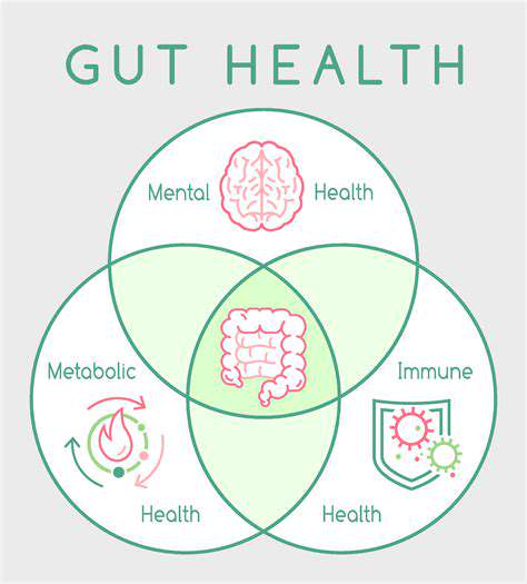 TheImpactonYourGutHealthandBeyond:AHolisticPerspective