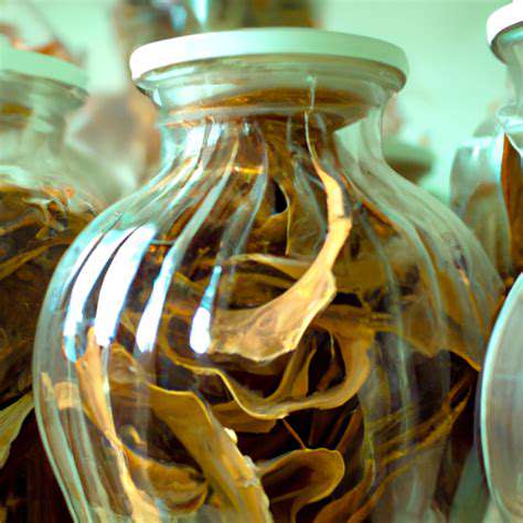 TheInfluenceofDynasticErasandtheEvolutionofTCM