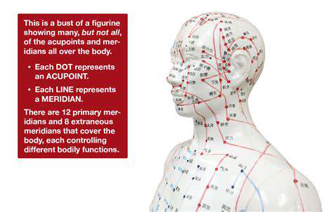 ThePowerofAcupunctureandTraditionalChineseMassage