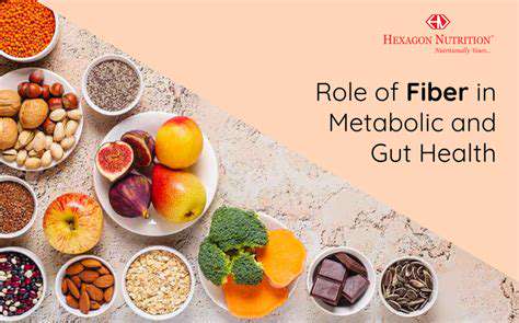 Fiber'sFunctionalRoleinMetabolicEnhancement