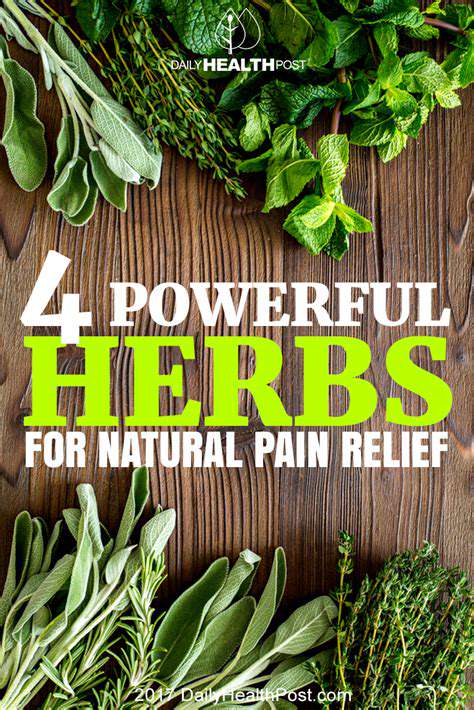 HerbalRemedies:Nature'sPain-RelievingAgents