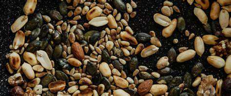 NutsandSeeds:ANutritionalPowerhouseforSnacking