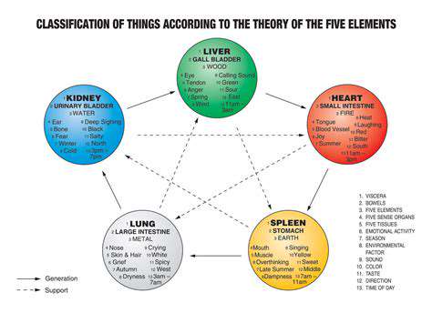 TheFiveElements:InterconnectednessandTransformation