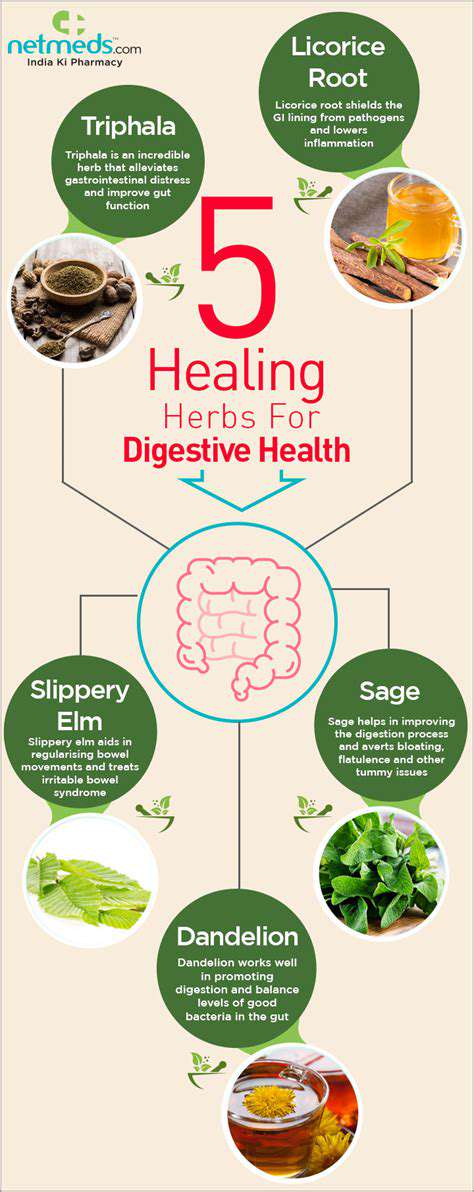 TheRoleofHerbsinMaintainingDigestiveHealth