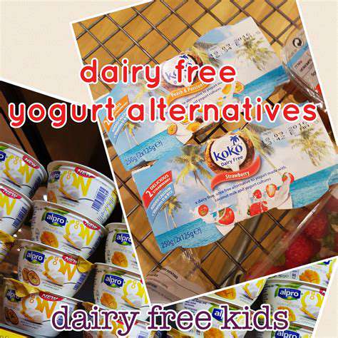 BeyondtheBasics:OtherDairy-FreeYogurtOptions