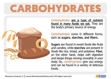 Carbohydrates:YourBody'sPrimaryEnergySource