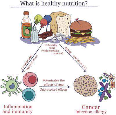 Nutrition:FuelingYourImmuneResponse