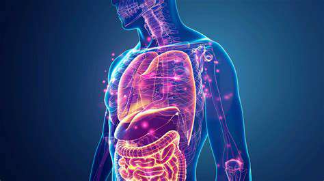 PotentialDigestiveBenefitsandConsiderations