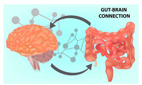 TheGut-BrainConnection:WhyFermentationMatters