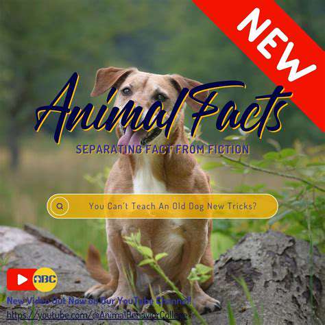 TheOrganicFoodMarketingMachine:SeparatingFactfromFiction