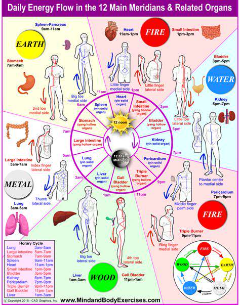 TheRoleofEnergyFlow:QiandtheMeridians