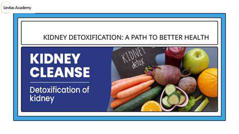 LifestyleFactorsInfluencingKidneyDetoxification