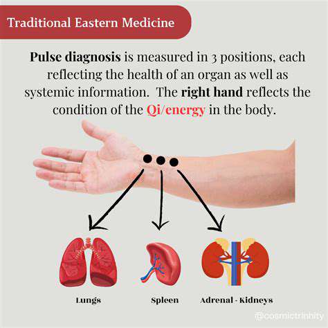 PulseDiagnosis:AWindowintotheBody'sEnergyFlow