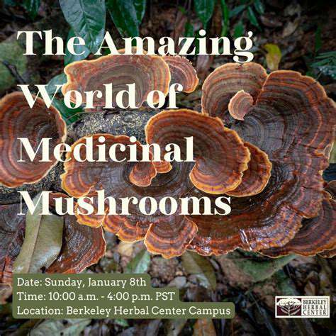 TheDiverseWorldofMedicinalMushroomsinTCM