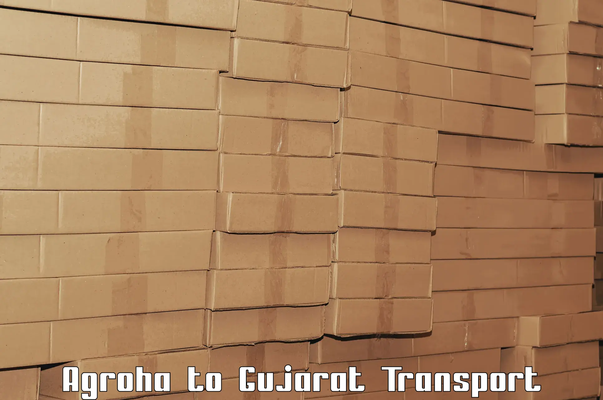 Cargo transport services Agroha to Halvad
