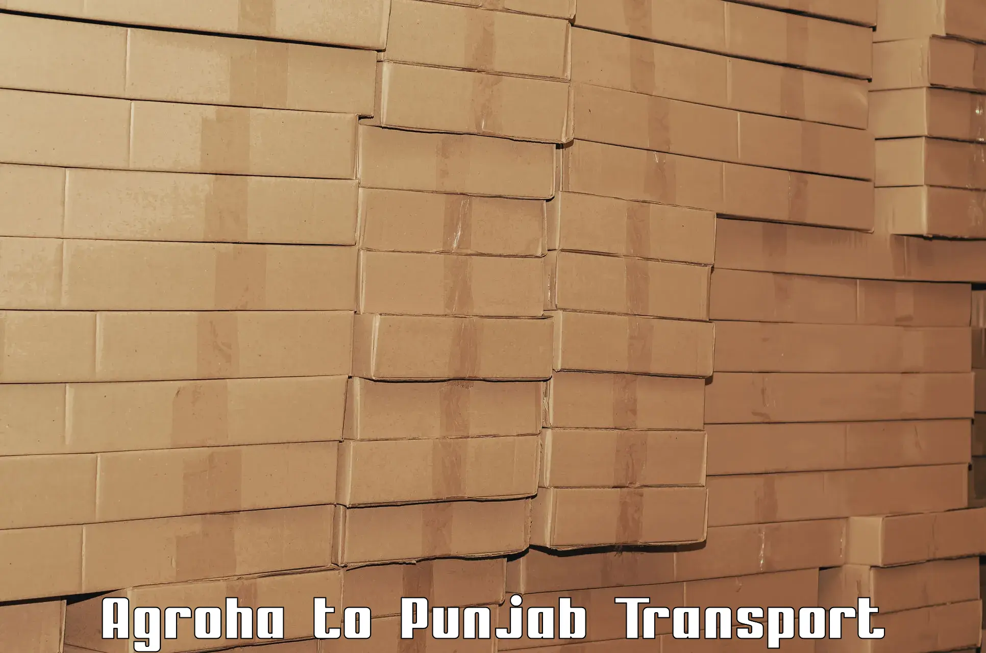 Vehicle transport services Agroha to Hoshiarpur