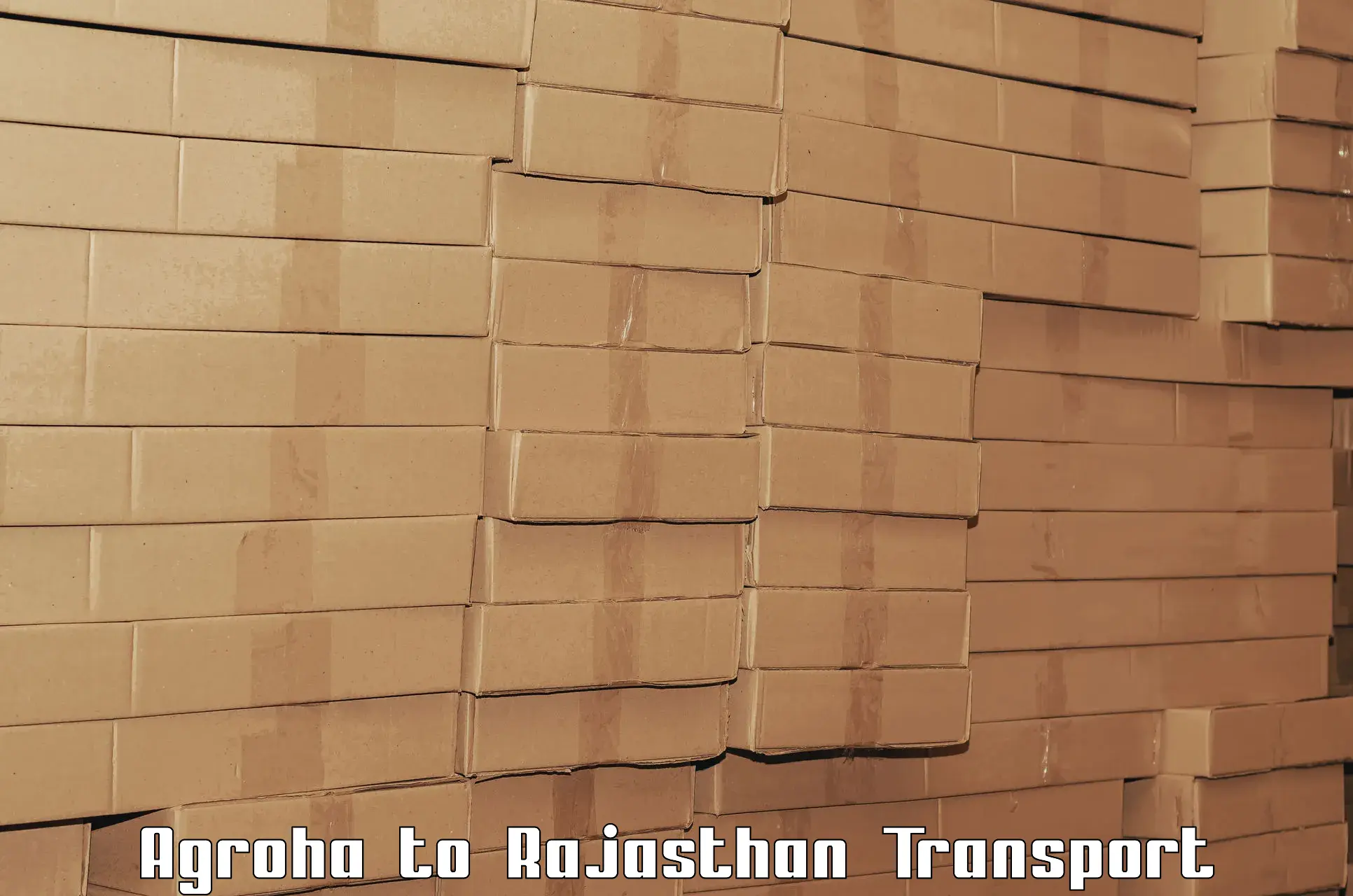 International cargo transportation services Agroha to Pratapgarh Rajasthan